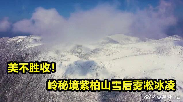 Ryse罗马之子