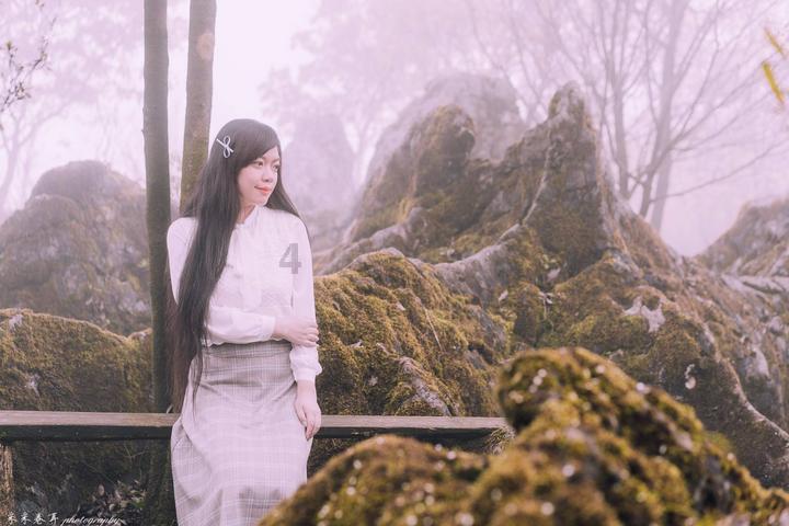寻找萌小老虎
