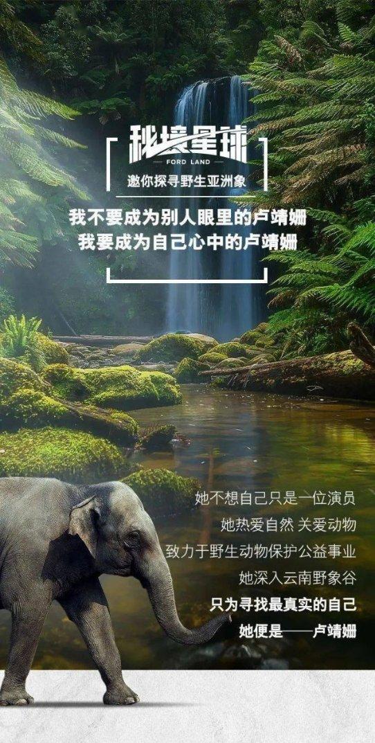 终究为你乱了心什么意思？游戏画面