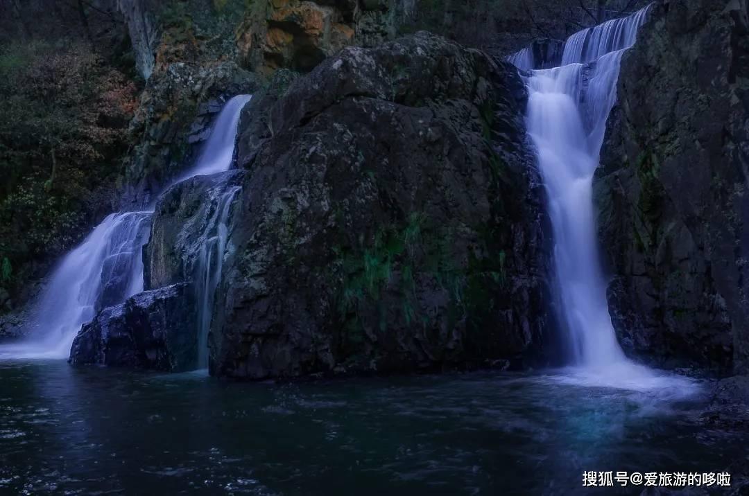 逗小猴开心系列173