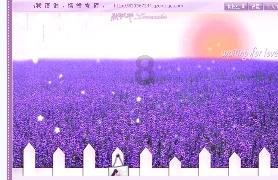 猎人：野性的呼唤