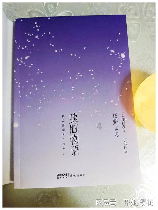 豆娃勇士2