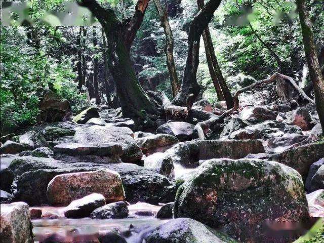 QQ三国