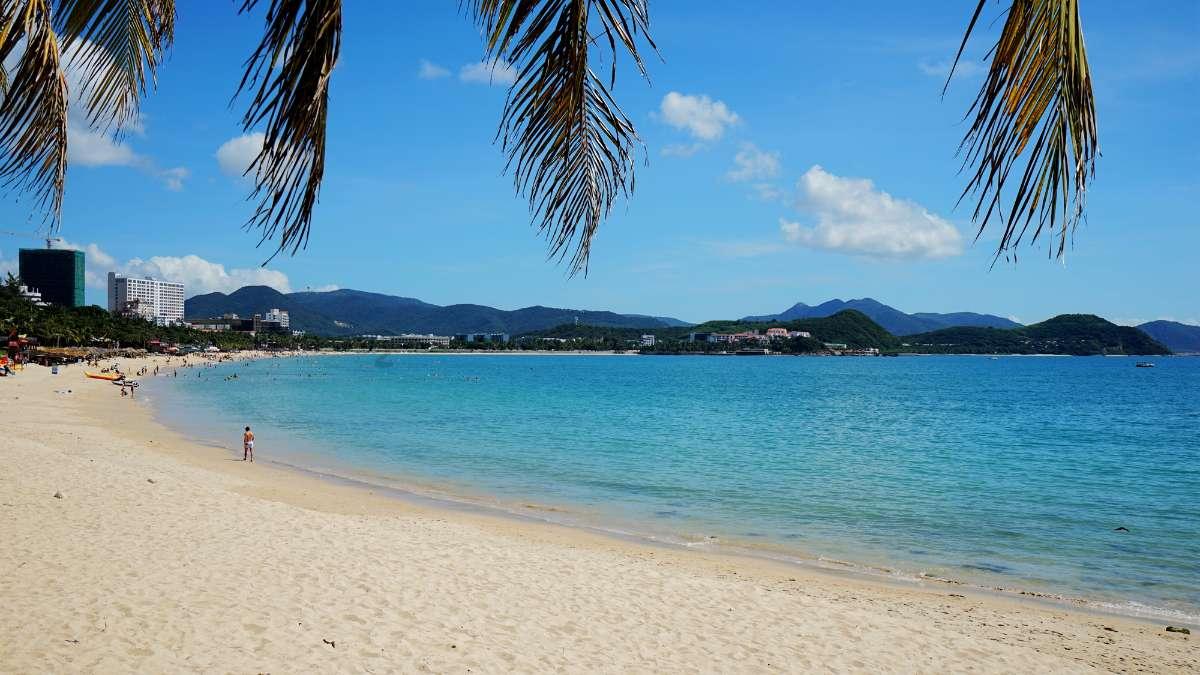 缤纷水果茶