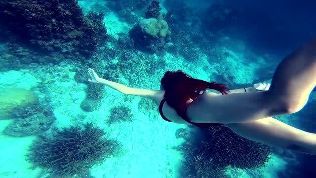 救援紫色生物