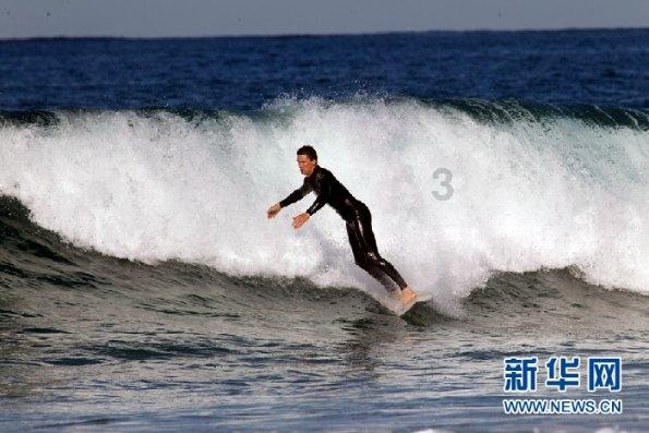 爱吃叶子的毛毛虫