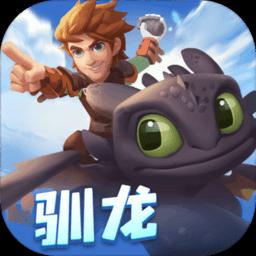 一个大问题