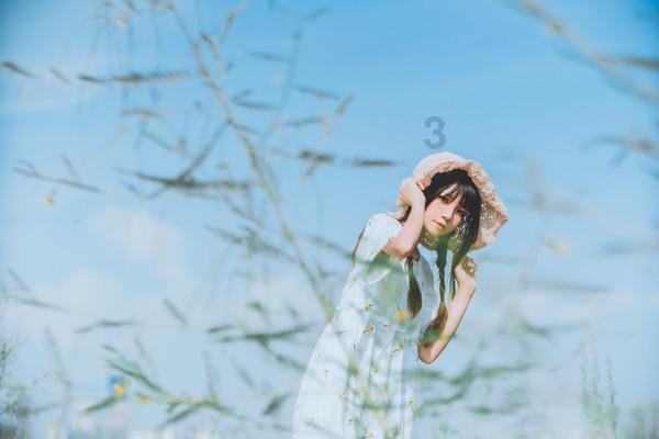 小长颈鹿逃离
