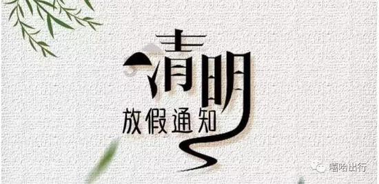 施甸:蓝莓领“鲜”上市