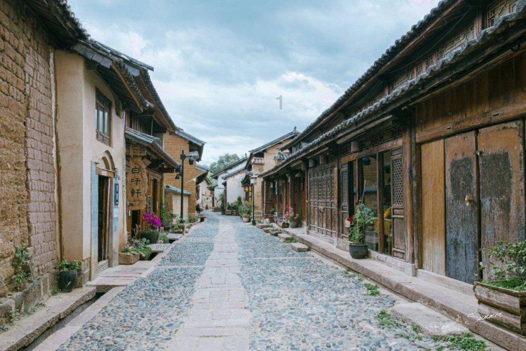 动物帮帮忙保卫家园