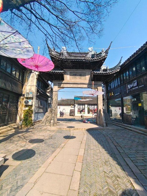 救援受困的老虎
