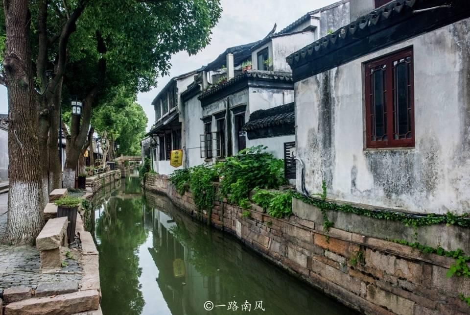 拯救小松鼠