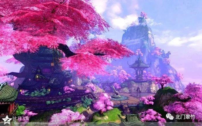 没有宰客 提高服务 才是王道