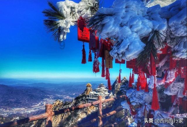 救援墨镜哥